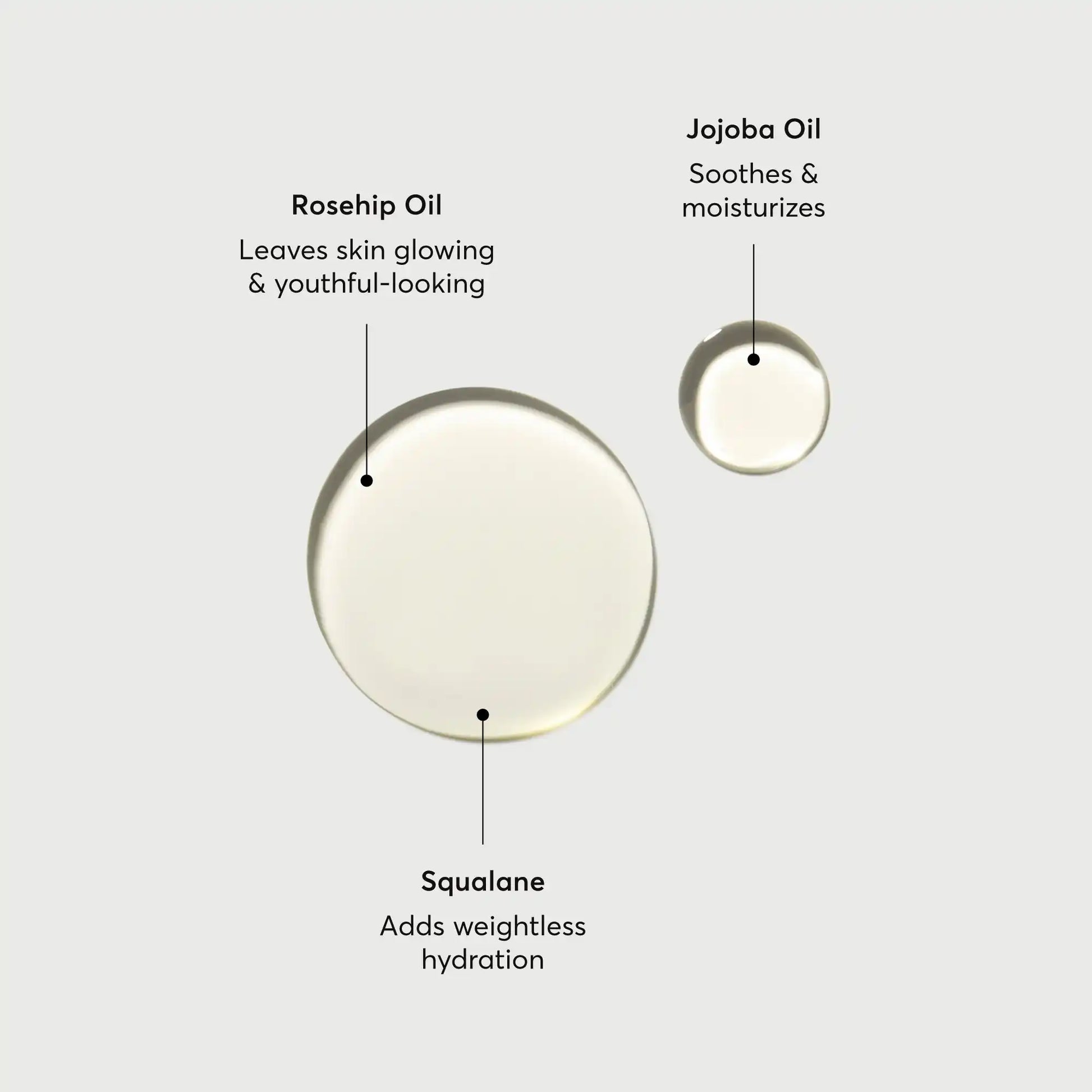 the-glow-getter-body-oil-k2 NATR-10115-Alt-Images-The-Glow-Getter-Body-Oil-01.webp