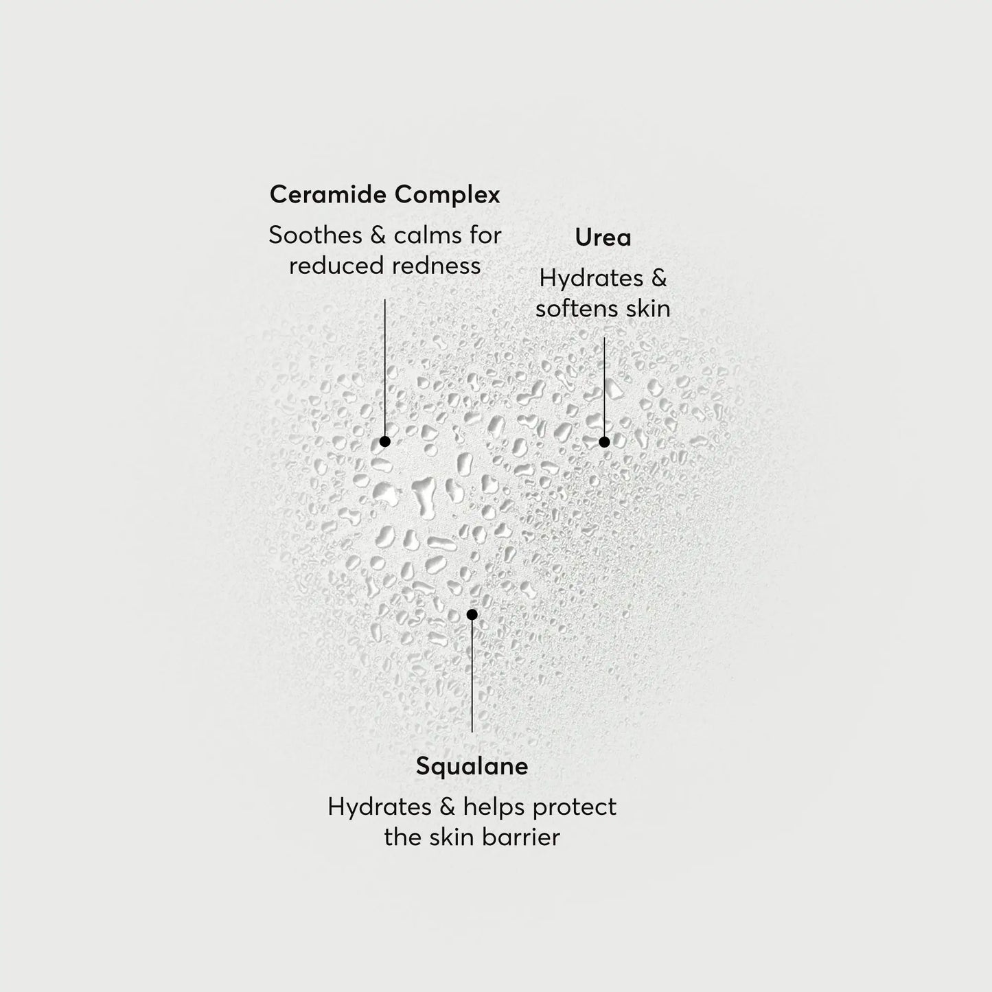 barrier-bounce-bi-phase-mist-o5 NATR-10167-Alt-Images-Barrier-Bounce-Bi-Phase-Toner-Mist_01.webp