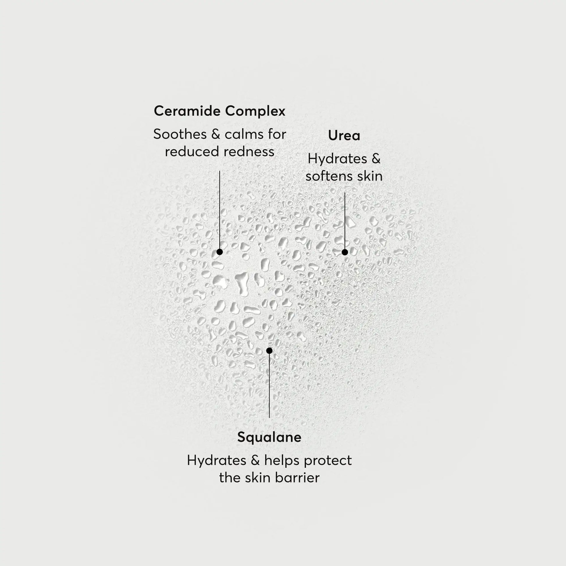 barrier-bounce-bi-phase-mist-o5 NATR-10167-Alt-Images-Barrier-Bounce-Bi-Phase-Toner-Mist_01.webp