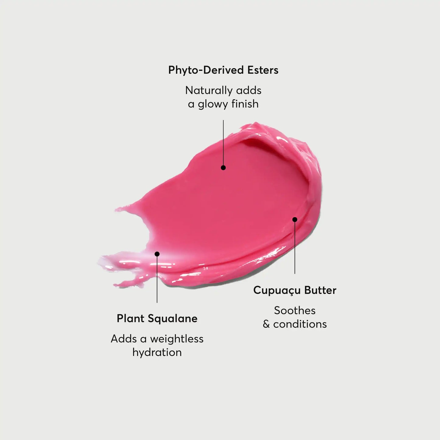 phyto-glow-lip-balm-camellia-b3 NATR-60075-Alt-Images-Phyto-Glow-Lip-Balm-Camellia-01.webp